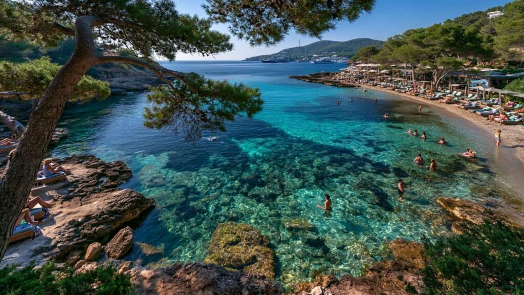 Cala Bassa Beach Club in Ibiza featuring crystal-clear turquoise water, swimmers, beach loungers, and a scenic family-friendly cove surrounded by pine trees.